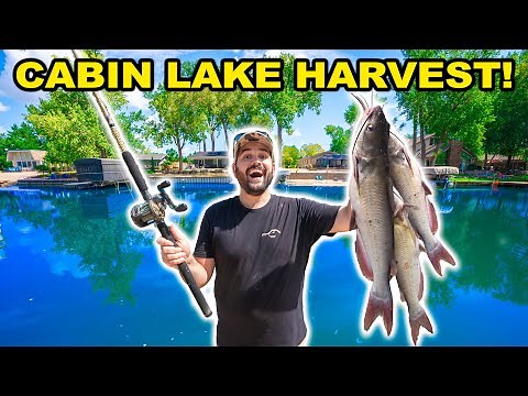 MULTI-SPECIES Catch Clean Cook CHALLENGE at the CABIN LAKEHOUSE!!!