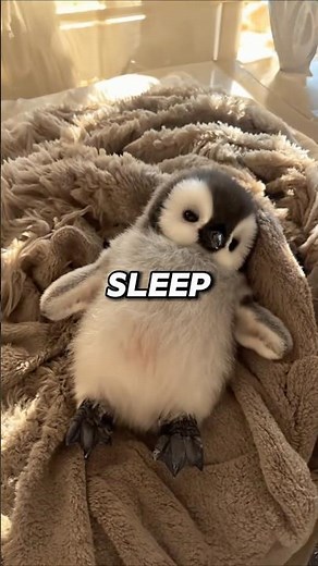 🌙 Top 7 Foods That Help You Sleep Better 😴 | Natural Sleep Boost Explained