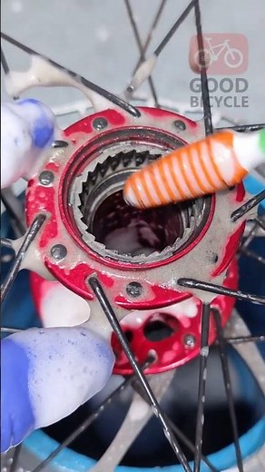 How to clean a bicycle wheel and the inside of the freehub body thoroughly