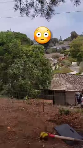 452K views · 10K reactions | Bumble bee rescue! #bumblebee #bees #savethebees #insects #animals #nature | Mr. Mrs. Bee Rescue | Facebook