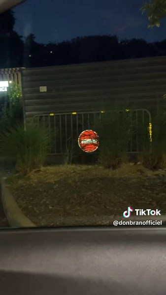 Choc au McDo : des rats en pleine balade !