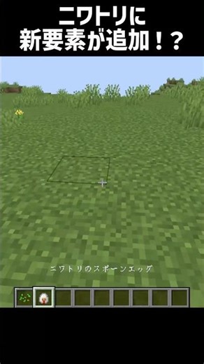 [Minecraft] New features added to chickens!? #shorts