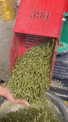 Efficient Model 300 Pellet Mill for Livestock Farming