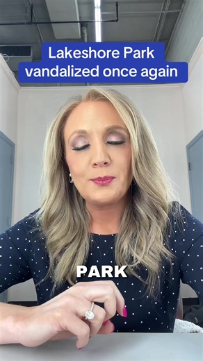 Lakeshore Park vandalized once again.