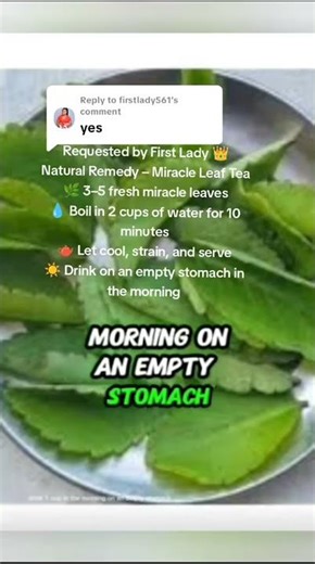 Miracle Leaf Tea Recipe: Boost Your Health Naturally with First Lady's #HerbalRemedy 🌿