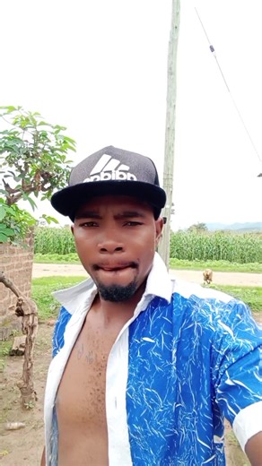 KANGAROO BRAND (@kangaroo_dancer)’s videos with original sound - KANGAROO BRAND