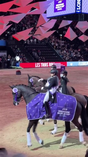 Stallion Elegance: Equestrian Dressage Highlights