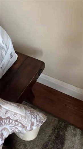 Cute Dogs and Their Adorable Moments You'll Love to See