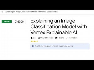Explaining an Image Classification Model with Vertex Explainable AI