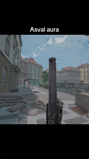 Asval is the best 20,000tk gun #Asval #ghost #of #tabor #kitted | ghost call of duty