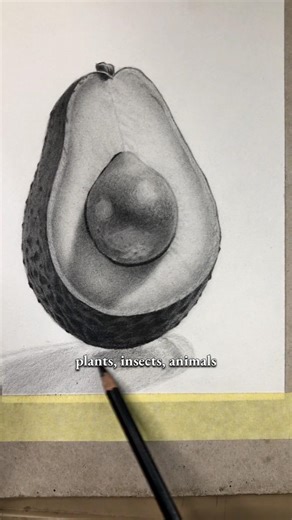 You want to learn to draw but YOU HATE PORTRAITURE