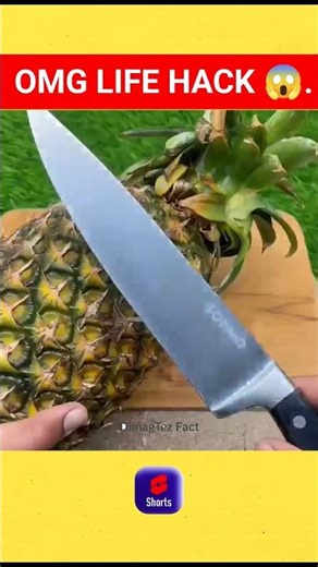 Amazing Life Hacks 😱 | life hacks | DIY | Hindi | #ytshorts #video #shorts