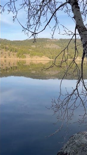 Mirror Surface on Idaho Mountain Lake