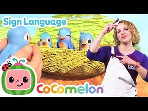 JJ Saves the Baby Birds! 🐦 | CoComelon with ASL | 🖐️ Sign Language for Babies 🖐️