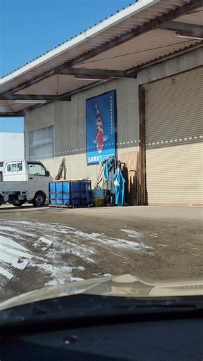 Strong, steady, dependable 💪🐠 Tom breaks down why Tamura koi are trusted picks. #JapaneseKoi #KoiFish #TamuraKoiFarm #FishTok #KoiTok #ChampKoi #KoiSale | Champion Nishikigoi