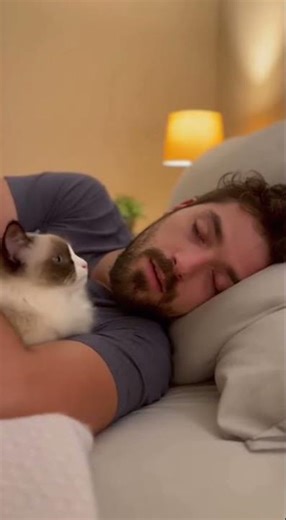 When Your ‘Alarm Clock’ is a Cat Slap: The Snoring Incident 😂