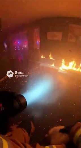 Firefighter saving a dog from a fire