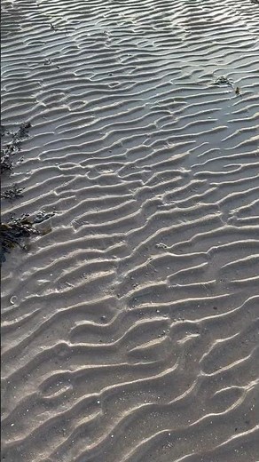 'Wavy' sand waves- fascinating patterns formed at low tide #ripples