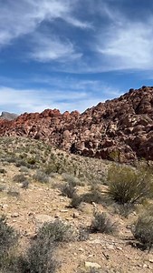 Desert Bund 🌵. Healing. | DJ Cummerbund