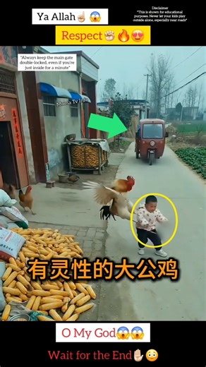 MashAllah ☝🏻😇 Respect 😍 #allah #shorts #status #respect