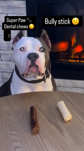 🪶TheN8tiveDogfather🐾 on Instagram: "@superpaw_global has the best treats that help clean your dogs teeth…best in the game for your dogs health 🙏 Go to their page or search them on AMAZON and order yours asap before they’re sold out! 🤜🏽🤛🏽 My dogs favorite is the banana 🍌 flavor. In March they also have a dental chew booster launching that helps clean teeth as well that will come with these dental chews. ORDER ASAP 🔥 #dogs#dogtreats#dogsofinstagram#dentalchew#superpaw"