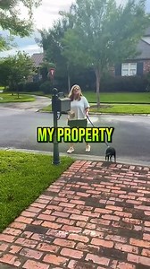 Top 3 Karens of the Week | Karen's Videos