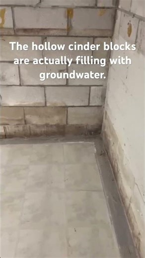 Wet Cinder Block Walls? DO NOT Ignore This ⚠️