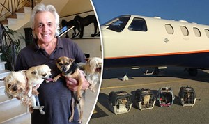 Peter Stringfellow talks about fatherhood on Lorraine