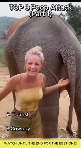 Top 3 Poop Attack 💩😁(Part 1)