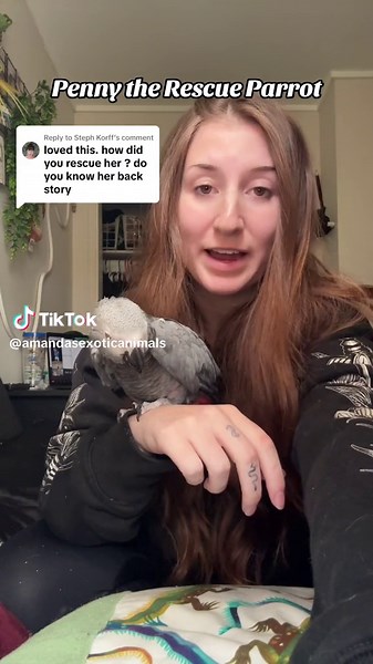 Meet Penny: The Rescued 53-Year-Old African Grey Parrot | Heartwarming Story