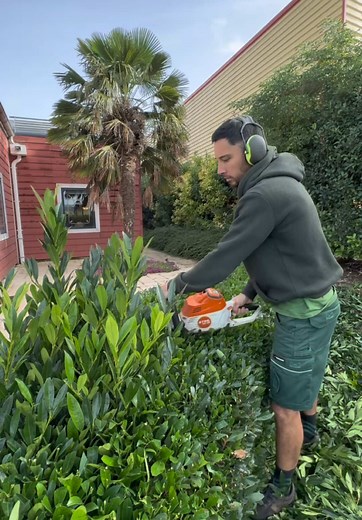 Transform Your Garden with Relaxing Landscaping Videos