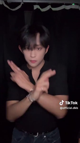 다크비의 일본 공연과 춤