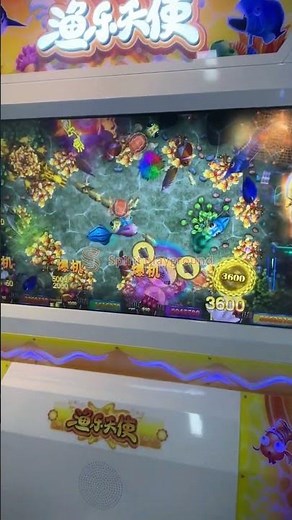 what is a coin operated amusement machine,4 coin operated machine