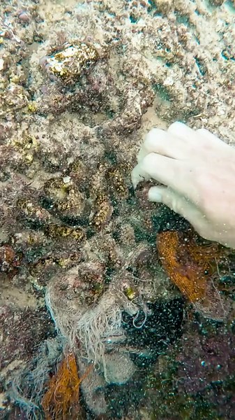 Ocean Cleanup Dive: Discovering Hidden Trash Treasures