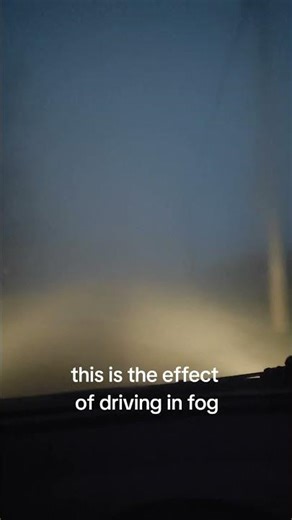 This is what you see when you drive in the fog #fog #pov #driving