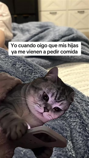 Lo siento 😂 #Meme #MemeCut
