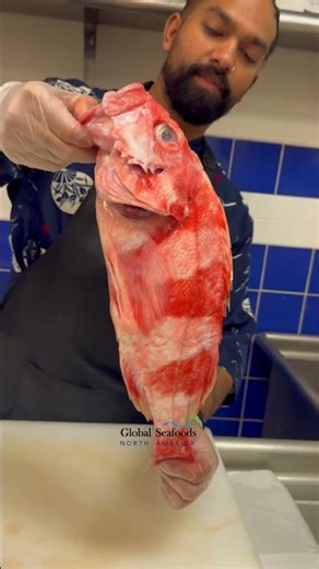 Redbanded Rockfish (Red Bandit Rockfish) | Chef Introduction & Preparation