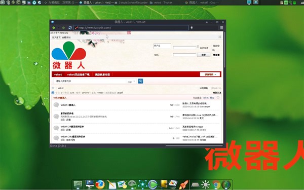 小小的浏览器NetSurf,适合用来看小说超级的省资源,可惜打不开b站