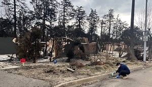 Free soil testing for lead helps L.A. residents after wildfires