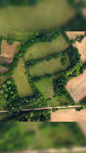 ARTE on Instagram: "Entretenir les cultures, c’est parfois un travail de fourmi, au sens propre. « Biodiversité : laisser faire ou planifier ? », un documentaire à retrouver sur arte.tv 🐜 #ARTEdocu"