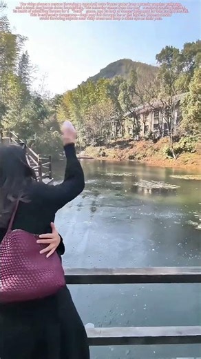 Dog Jumps Impulsively onto Frozen Water After Snowball Throw