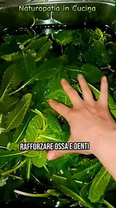 🌿 L’ORTICA: UN TESORO VERDE DALLA MONTAGNA ALLA TAVOLA 🌿 Ieri, nonostante la pioggerellina, sono andata in montagna a raccogliere ortiche fresche, giovani e ricche di proprietà benefiche. Questa pianta straordinaria è un vero elisir naturale: ✅ Antinfiammatoria – utile per dolori articolari e artrite (📖 Journal of the Royal Society of Medicine). ✅ Depurativa e diuretica – favorisce l’eliminazione delle tossine. ✅ Ricca di ferro e minerali – perfetta per chi soffre di anemia o vuole rafforzare