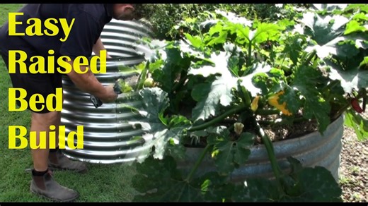 DIY round galvanized raised garden bed: Easy step-by-step assembly & tips