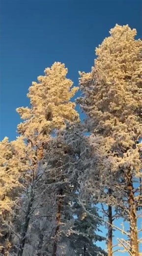 Glass Resort Spring #snow #travel #winter