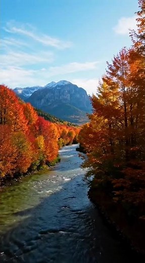 Nature River Autumn 4K Live Wallpaper