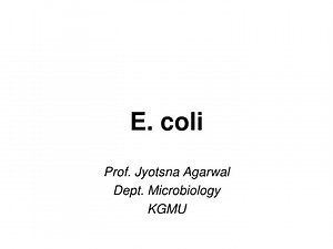 PPT - E. coli PowerPoint Presentation, free download - ID:9095204