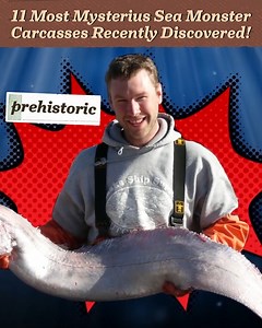 Alien Or Creature? Exploring The Strange World Of Sea Monsters | Origins Explained