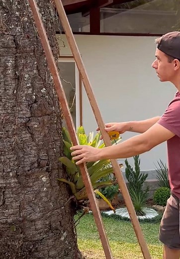 Decoração Criativa em Tronco de Árvore para Jardins