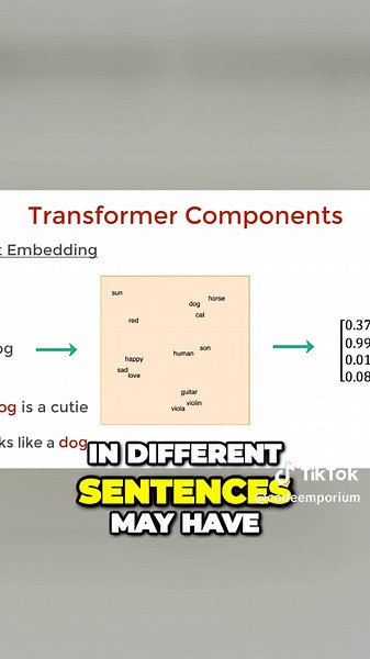 Word Embedding & Position Encoder in Transformer #machinelearning #deeplearning