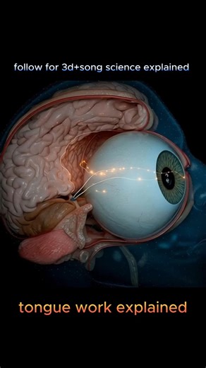 jib ko khane ka taste kaise pata chalta hai? | study with song